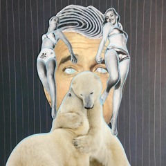 I Stunt For You (Mr. Oizo vs. Chaka Khan)