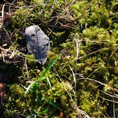 Safe Place Meditation