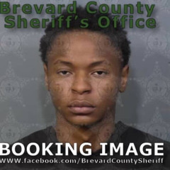 babysnake - let me know (xool)