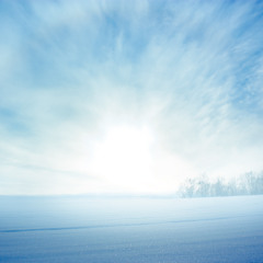 The Four Sections (Movement 4 - Winter: Observations Within Isolation)