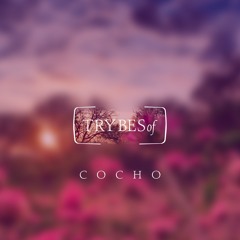 Cocho - No Way
