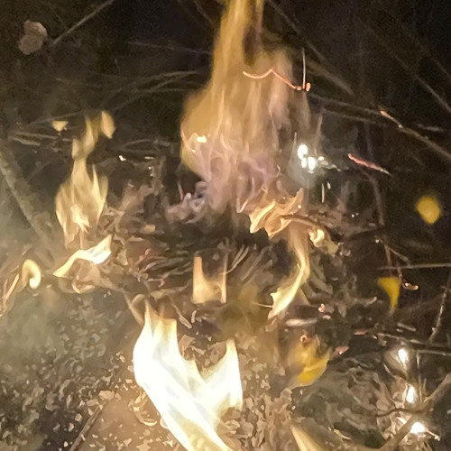 Molten (Crusty Mammals remix)