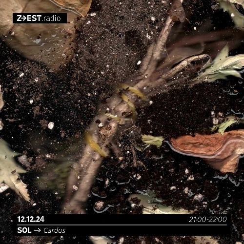 Soundcloud podcast image for