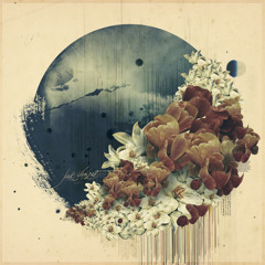 This House Is Full of Water (Bonus Track)