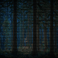 everyday (08-05-25)  super imposed ultrasonic nighttime amb recording