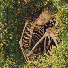 Grapevine Knots (prod. Eliana)