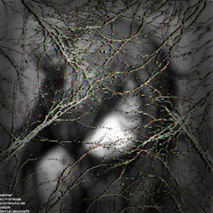 scattered thoughts