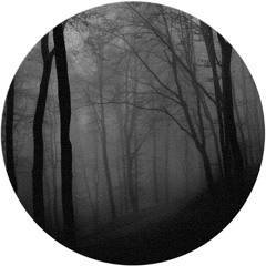 V13RNES - Obsesion (original Mix)