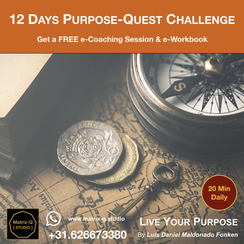 Purpose Quest  12 Days Challenge  Find Your Purpose, Or Upgrade Your Purpose Driven Lifestyle