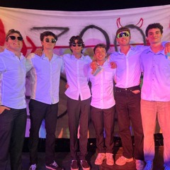 A Place Called Zoo (6587 anthem)