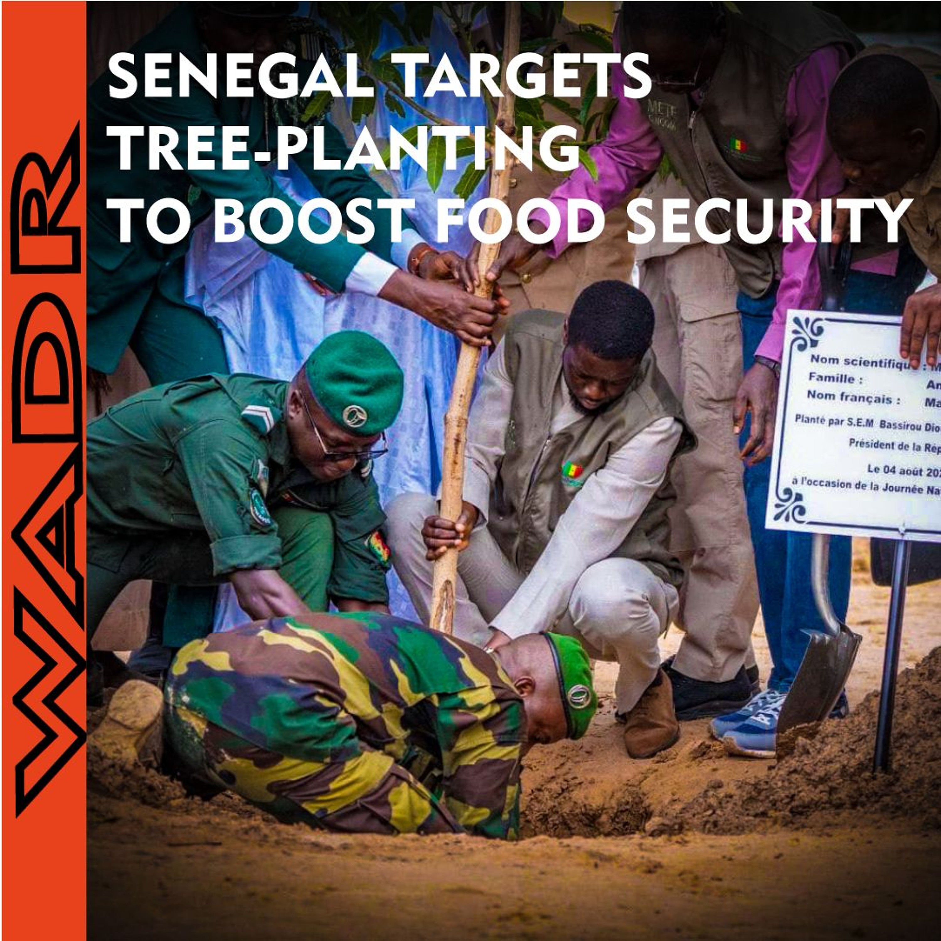 How Reforestation Could Transform Food Security in Senegal - Enviroscope episode artwork