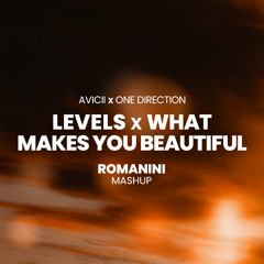 Avicii vs One Direction - Levels x What Make You Beautiful (ROMANINI MashUp) *filtered for copyright