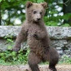 Du Hast (slowed and perdezh)