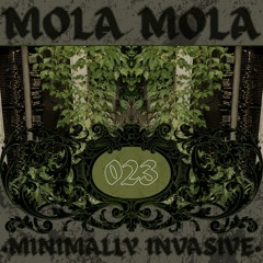 Minimally Invasive 023 Mola Mola
