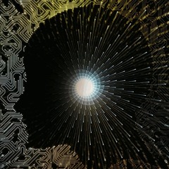 Noggin