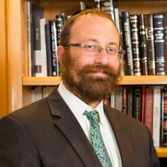 Rabbi Gestetner - Parshas Shoftim: Judge thyself