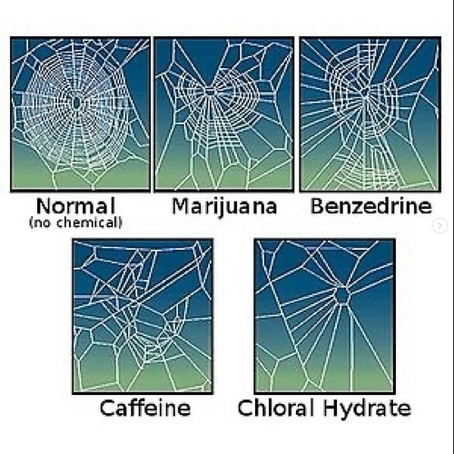 Not Quite {prod.traphardrufus}