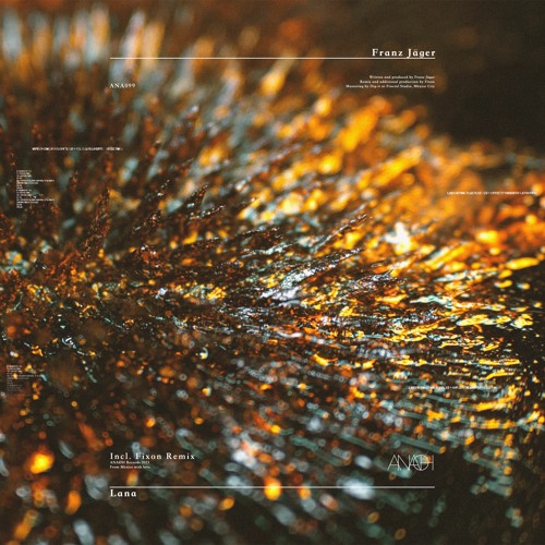 Premiere: Franz Jäger - All Nature (Fixon Remix)