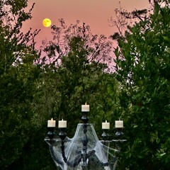 DJ Kelly Fall Dance Party