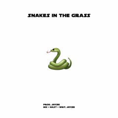 Snakes In The Grass (Prod. Jaycee)