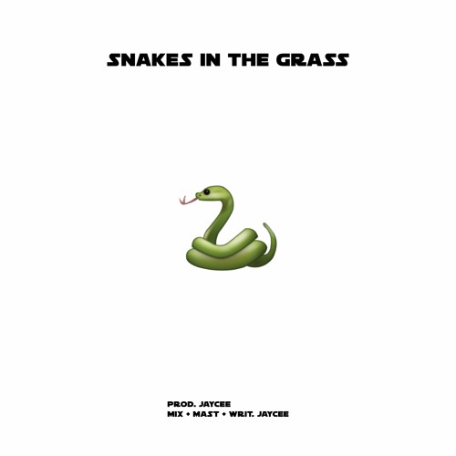 NickyNuAImusic Snakes In The Grass Lyrics