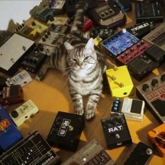 Tokyo Shoegazer - Silent Lies