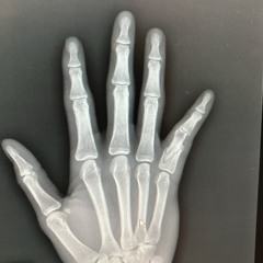 FuckDaBrand x KENN x BBE MEECH x LEEK