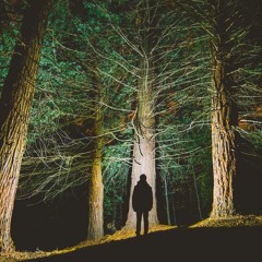 Through The Darkness
