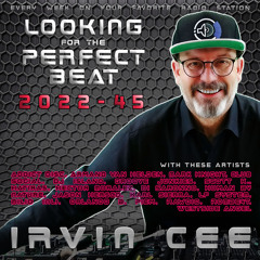 DJ Irvin Cee - Looking for the Perfect Beat 202245