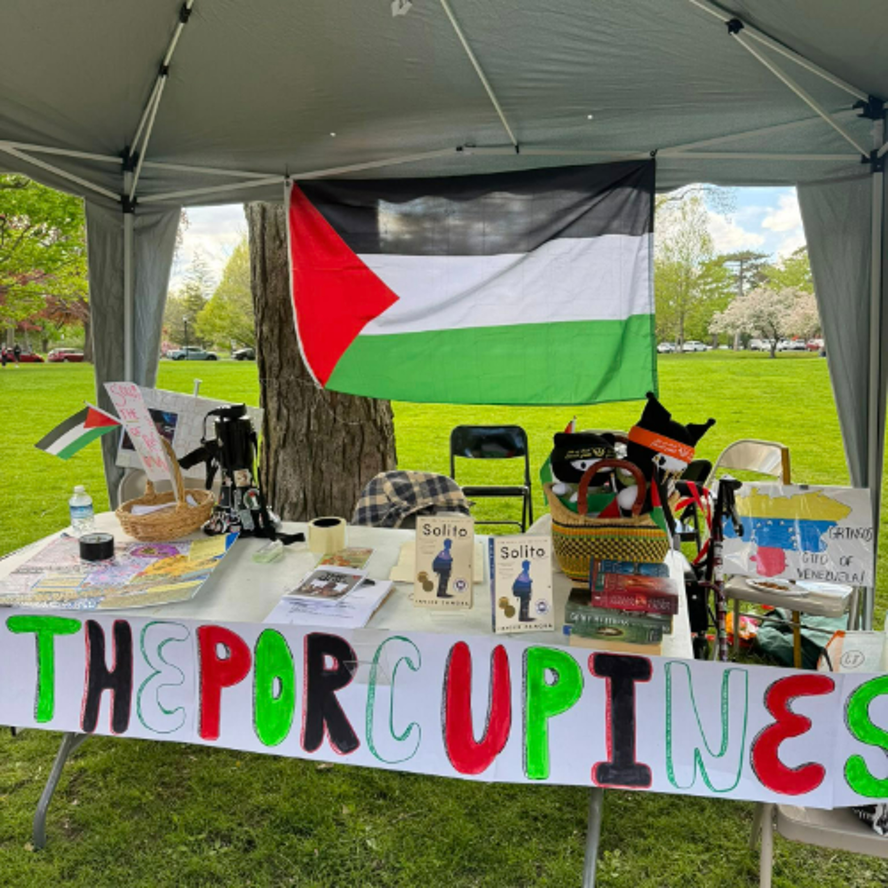 May Day Solidairity Picnic and Rally in Washington Park episode artwork