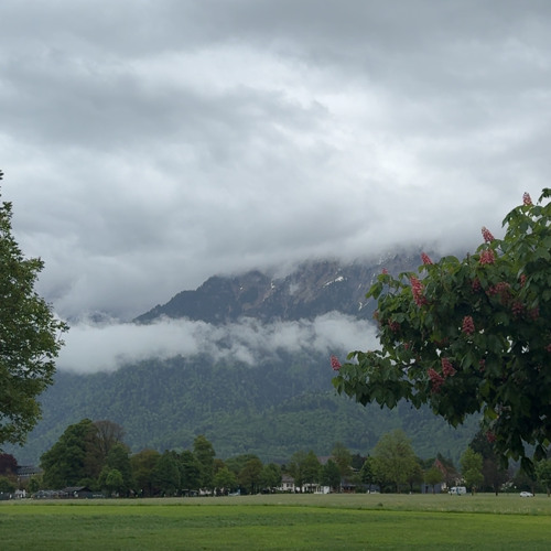 صالح سعيد - ذكراك (حصرياً)  2025