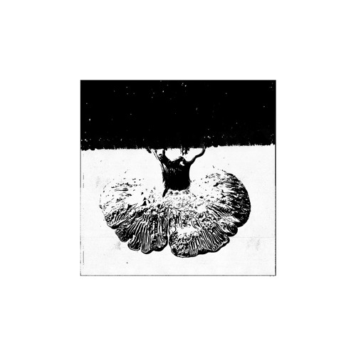 Mule Driver - Cues of Danger [CM22]