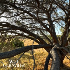 Spero tu stia meglio adesso, Cagnolina. 🐾✨