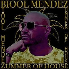 DJ BIOOL - ZUMMER OF HOUSE 2022