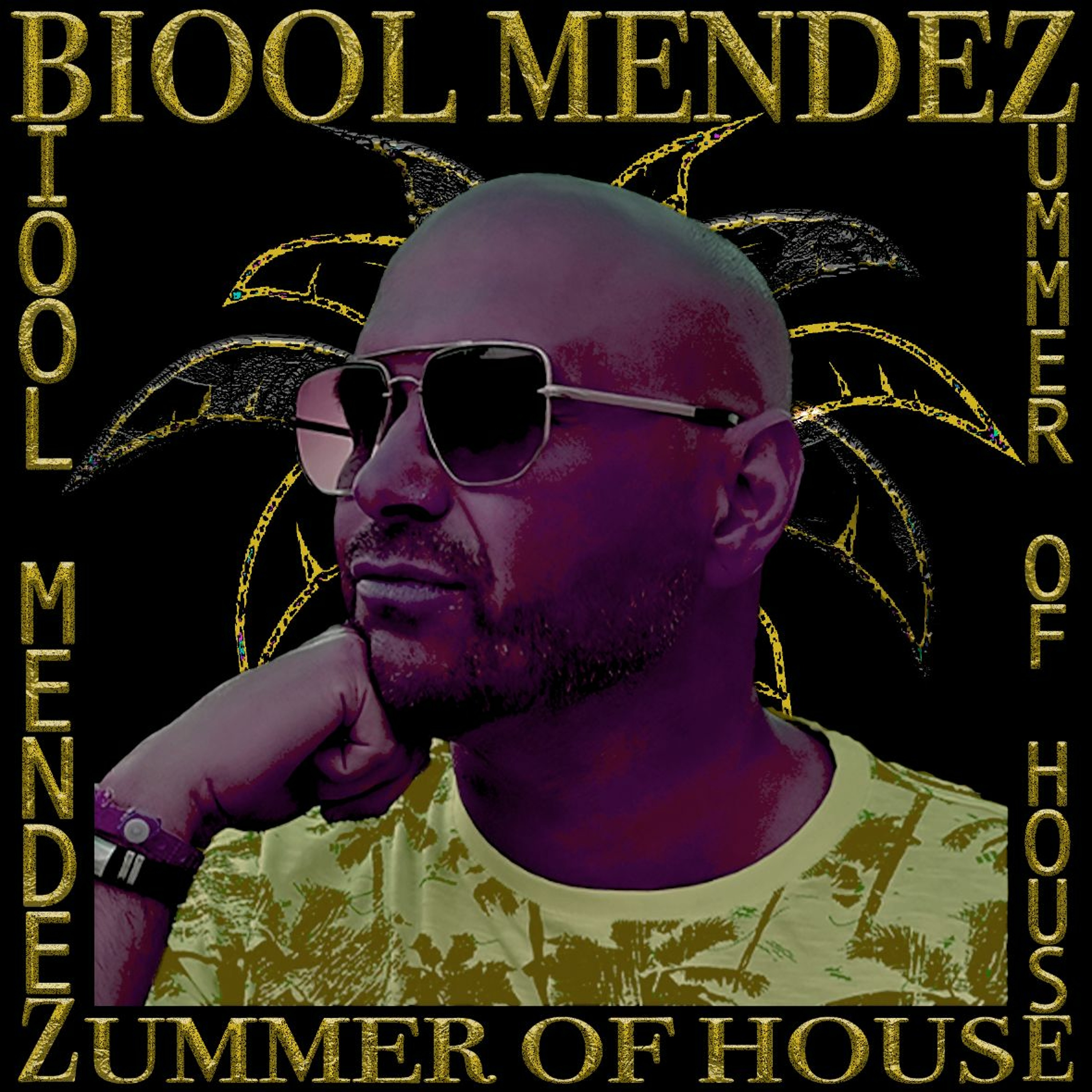DJ Biool Mendez (Belgium)