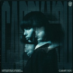 Martin Garrix & Third Party - Carry You (Pablo Denuit ''Wake Me Up'' Mashup)