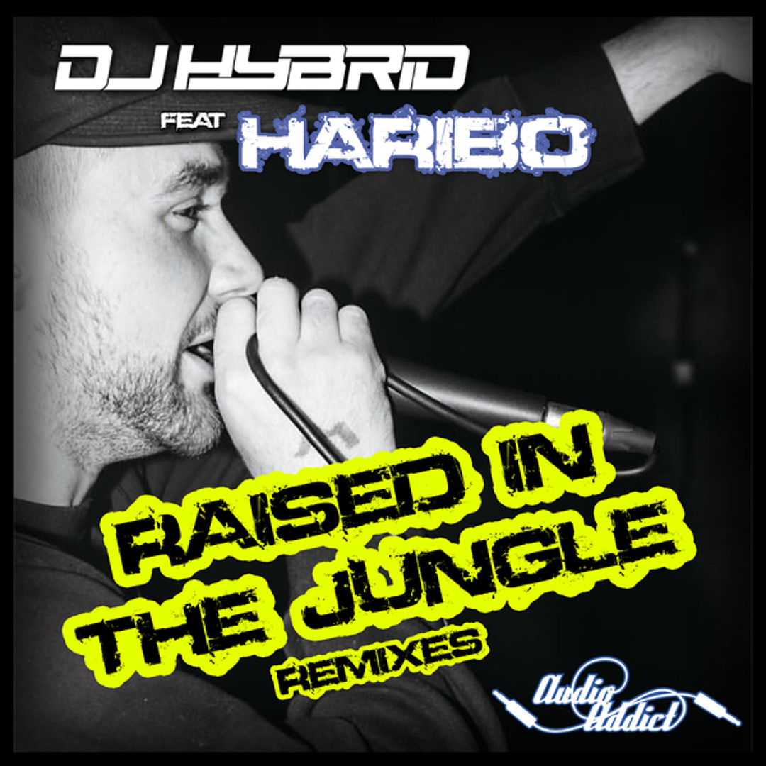 Stream Raised In The Jungle (Schematic Remix) by DJ Hybrid | Listen ...