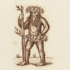 Sometimes a Wild God - Tom Hirons