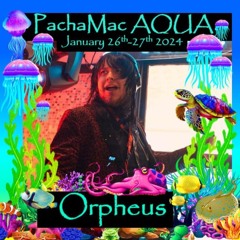 PachaMac Aqua 2024 Funky Dnb