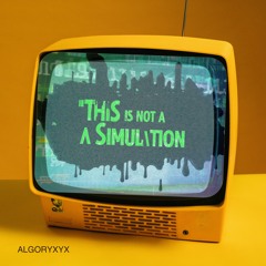 This Is Not A Simulation