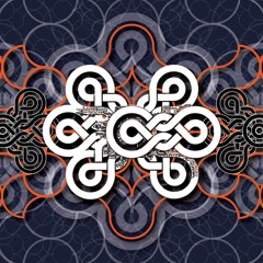 La Musique Indienne Comme Chemin Spirituel - Dharma Techno Festival 2024 - Denis Robberechts