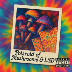 Polaroid of mushrooms and LSD