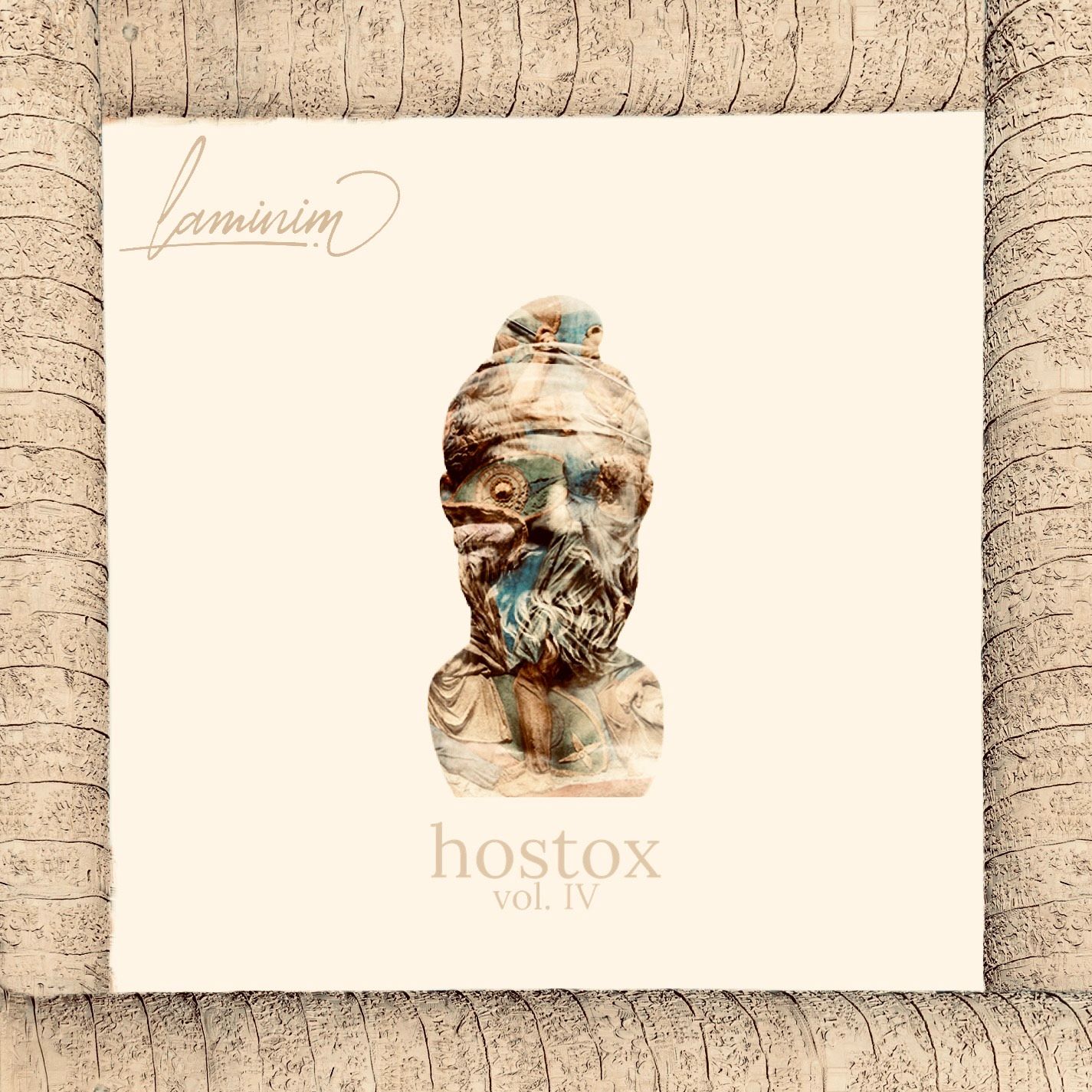 Volume IV – Hostox