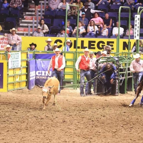 Stream College National Finals Rodeo (CNFR) 2023 Live Stream by