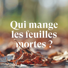Qui mange les feuilles mortes ?