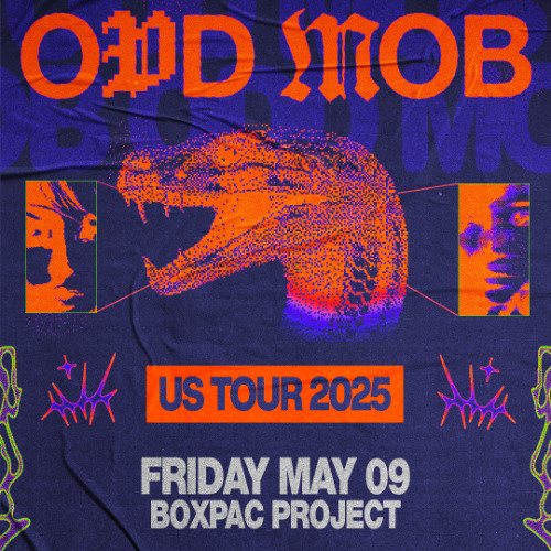Odd Mob - Live at Boxpac Project