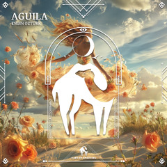Engin Ozturk - Aguila [Cafe De Anatolia]