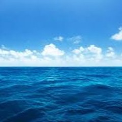 Dr Brain - Sea Blue Preview Forest Jump 02 (MTC 2021)