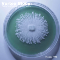 Renzo Saborido & SabroMadeIt - Vortex Bloom (Original Mix)