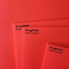 Pugilist - Horizon - Nous'klaer 016 (previews)